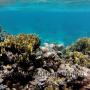 Schnorcheln am zweit grössten Riff der Welt